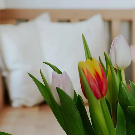 Bed and Breakfast Muehlbauerhof 4*