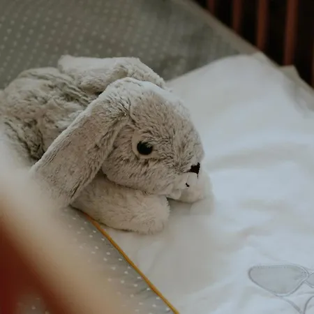 Muehlbauerhof Bed and Breakfast