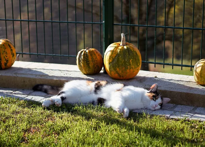 Muehlbauerhof Großklein