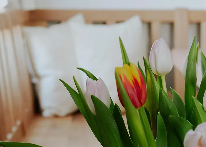 Bed and Breakfast Muehlbauerhof 4*